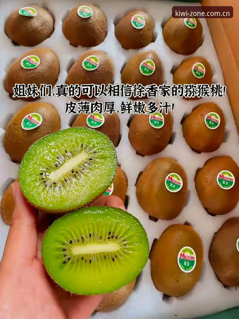 奇异果体育平台中国区新版版详解